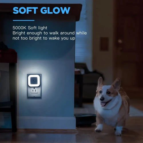 (dubble) Intelligent LED Light Automatically Lights Up At Night, Creative Night Light