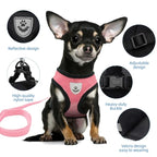 Adjustable Dog Harness with Leash – Soft, Breathable Mesh Vest for Small Dogs & Cats – Reflective & Comfortable