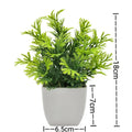 Artificial Plants in Plastic Pots for Home, Office, and Bedroom Decoration – Perfect Greenery for Indoor & Outdoor Spaces