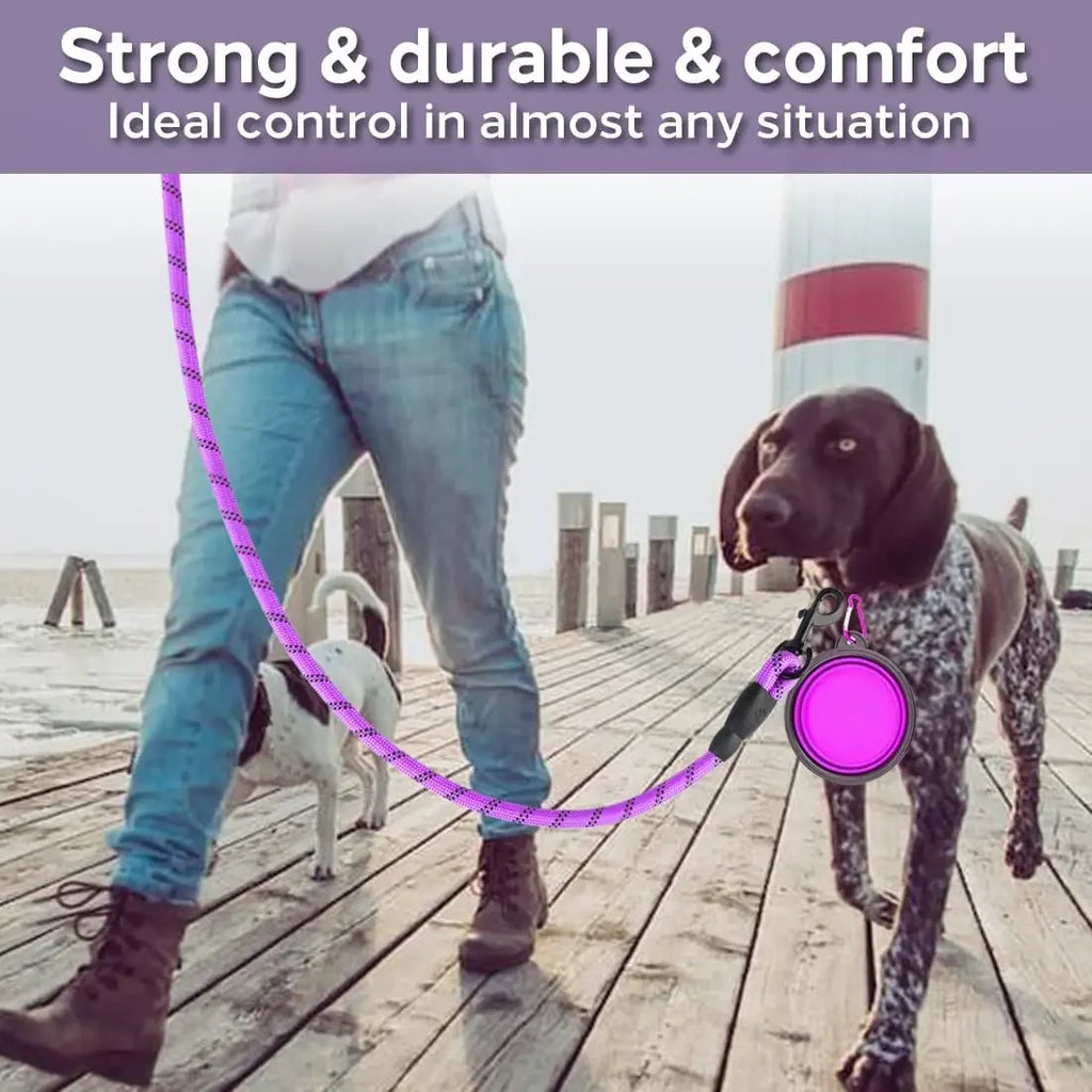 Reflective Dog Leash – Strong Nylon Pet Leash for Small, Medium & Large Dogs