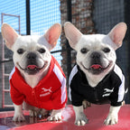 Autumn & Winter Dog and Cat Sweatshirt – Warm Pet Clothes for Small, Medium & Large Pets