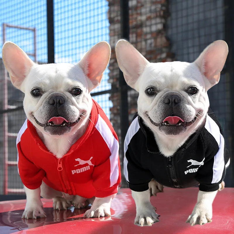 Autumn & Winter Dog and Cat Sweatshirt – Warm Pet Clothes for Small, Medium & Large Pets