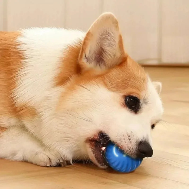 Automatic Interactive Dog Toy Ball – Rolling, Bouncing, USB Rechargeable