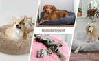 Super Soft Plush Pet Bed – Round Dog & Cat Bed (40–90cm, Warm & Calming)