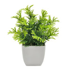 Artificial Plants in Plastic Pots for Home, Office, and Bedroom Decoration – Perfect Greenery for Indoor & Outdoor Spaces