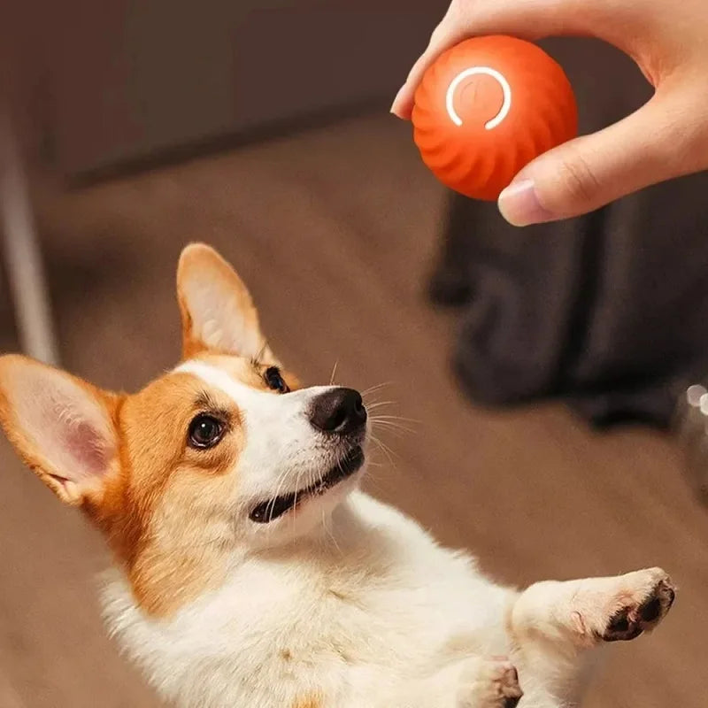 Automatic Interactive Dog Toy Ball – Rolling, Bouncing, USB Rechargeable