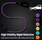 Reflective Dog Leash – Strong Nylon Pet Leash for Small, Medium & Large Dogs