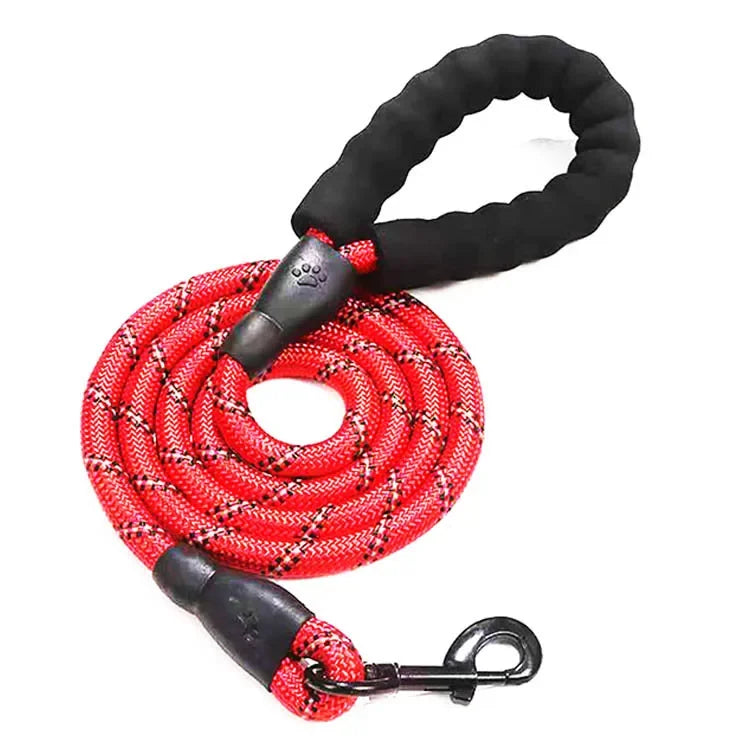 Reflective Dog Leash – Strong Nylon Pet Leash for Small, Medium & Large Dogs