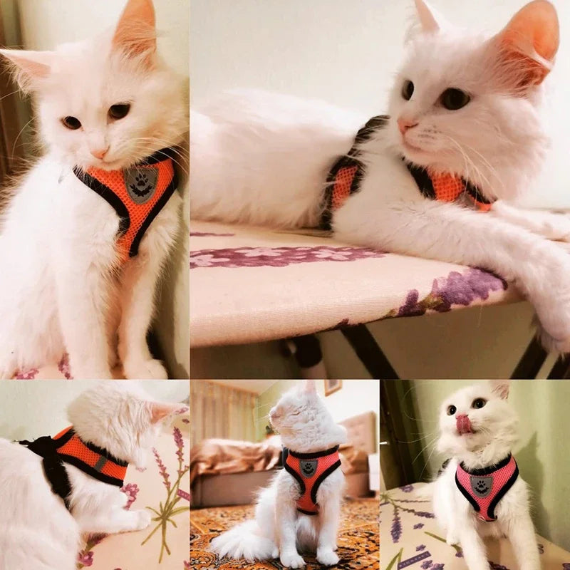 Adjustable Dog Harness with Leash – Soft, Breathable Mesh Vest for Small Dogs & Cats – Reflective & Comfortable