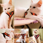 Adjustable Dog Harness with Leash – Soft, Breathable Mesh Vest for Small Dogs & Cats – Reflective & Comfortable