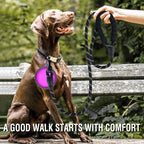 Reflective Dog Leash – Strong Nylon Pet Leash for Small, Medium & Large Dogs