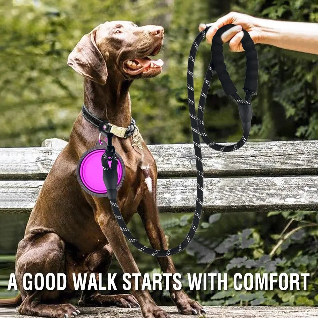 Reflective Dog Leash – Strong Nylon Pet Leash for Small, Medium & Large Dogs